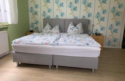 Bad Salzhausen Casa | Hotel Pension Wiesenau