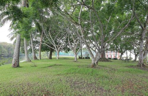 Tuxpan Hotel | Hotel Plaza Palmas