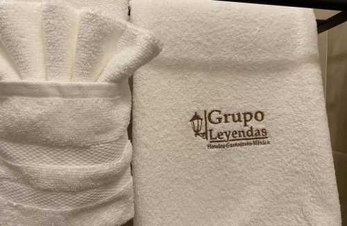 Zona Centro Hotel | Hotel Plata Condesa
