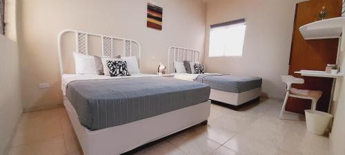 Gascue Hotel | Hotel Plaza Kavia