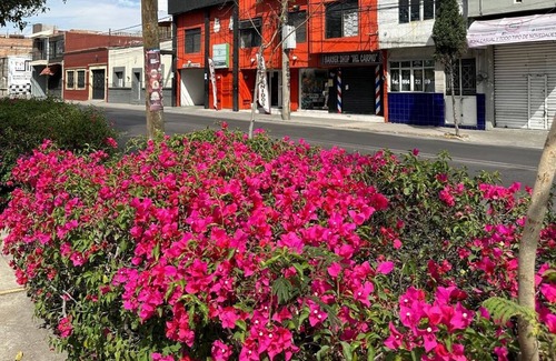 Aguascalientes Hotel | Hotel Posada Jardin Aguascalientes