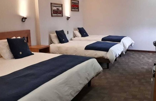 Pucon Hotel | Hotel Pucon Indomito