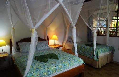 Puerto Viejo de Talamanca Hotel | Hotel Pura Vida