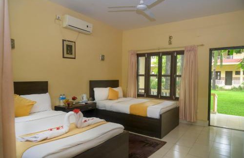 Sauraha Complejo | Hotel Rainforest