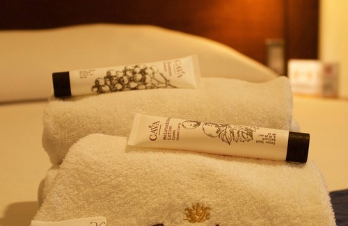 Centro Hotel | Hotel Real Alma
