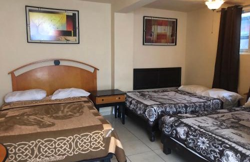Centro de Monterrey Hotel | Hotel Regis