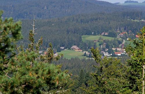 Feldberg Hotel | Hotel Restaurant Peterle