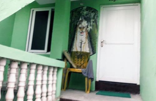 Sauraha Cama Y Desayuno | Hotel Rhino Land-Sauraha Family Home