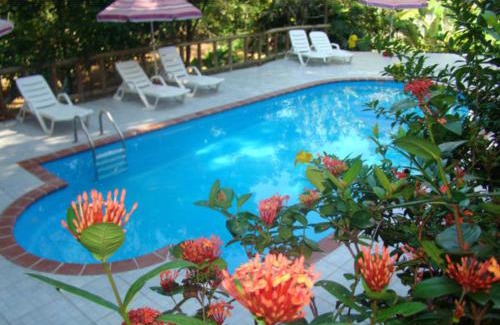 Ballena Hotel | Hotel Samsara