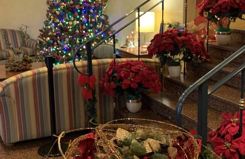 Lamezia Terme Hotel | Hotel Savant