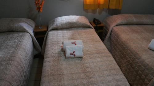Boa Viagem Hotel | Hotel Saveiro