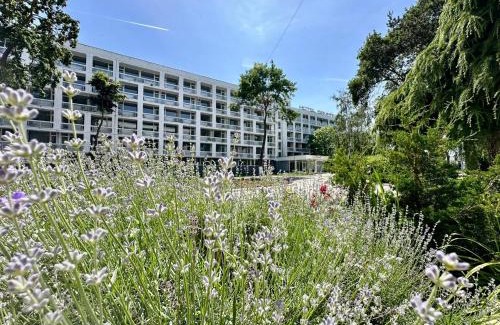 Saturn Hotel | Hotel Semiramis
