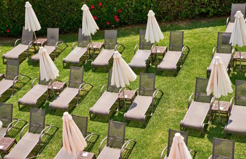Cala Ratjada Hotel | Hotel Serrano Palace
