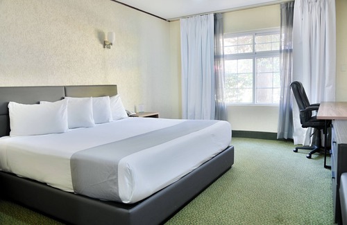 Chihuahua Hotel | Hotel Sicomoro