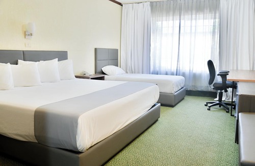 Chihuahua Hotel | Hotel Sicomoro