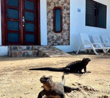 Puerto Villamil Hotel | Hotel Sierra Negra