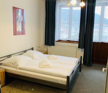 Zilina Hotel | Hotel Slovan