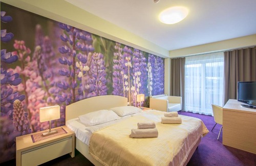 Tatranska Lomnica Hotel | Hotel Slovan