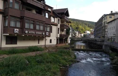 Bad Wildbad Hotel | Hotel Sonne by Mastiff
