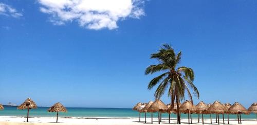 Municipio de Progreso Hotel | Hotel & Suites Domani