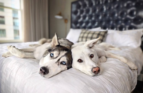 Downtown Denver Hotel | Hotel Teatro