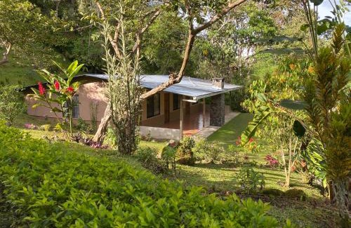 Rivas Hotel | Hotel Uran
