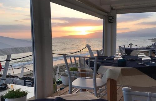 Marina di Ascea Hotel | Hotel Venere