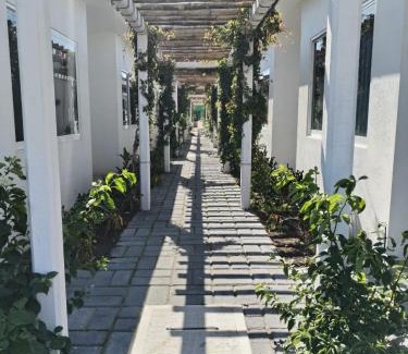 Tuxpan Hotel | Hotel Villas Xali