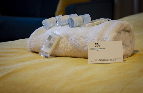 Provincia de Toledo Hotel | Hotel Zentral Mayoral