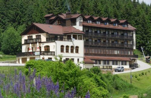 Zieleniec Hotel | Hotel Zieleniec