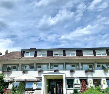 Bad Saeckingen Hotel | Hotel zur Flüh