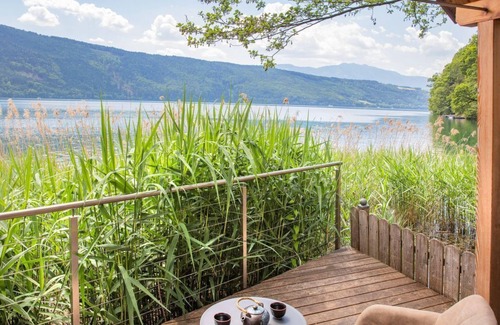 Doebriach Apartamento | Hotel zur Post 3*Superior - Bivouac reed - Bivouac reed | canna palustre