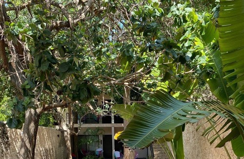 Centro Apartamento | Hotelito Yum Kaax