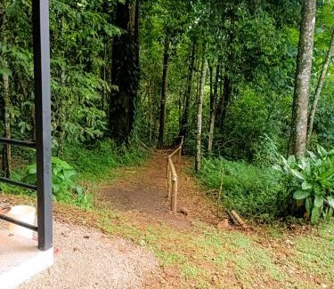 Ballena Casa | House 15 Min From The Beach With River Access