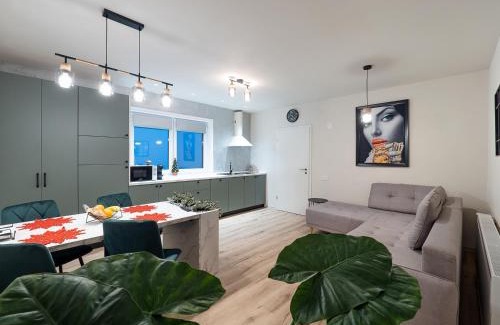 Sibiu Apartamento | House Abi