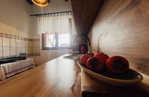 Trn Casa | House Botic