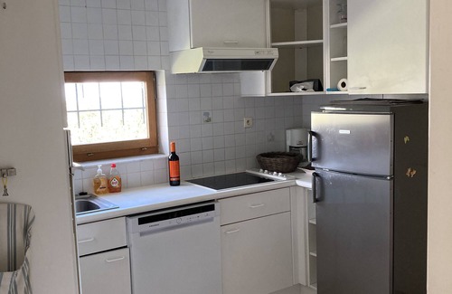 Witte Burg Casa | House near the beach by the dunes