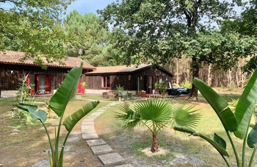 Hourtin Casa | House de la Canopée, Swimming pool, Lake, Forest, large garden and WIFI