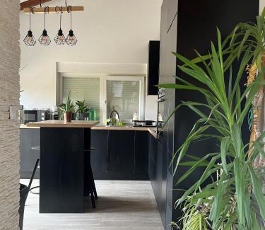 Bezjaki Apartamento | House Femini