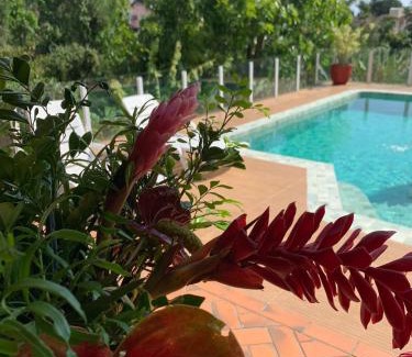 Cacupe Casa | House Flat Cacupé em Florianópolis