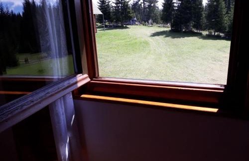 Zabljak Villa | House in forest