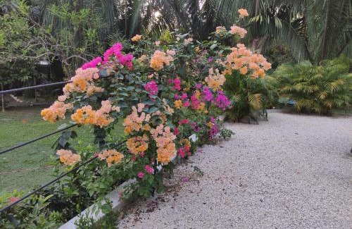 Puerto Carrillo Casa | House in the palm forest