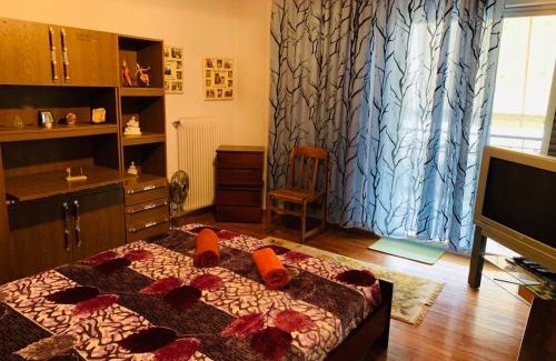 Spata-Artemida Apartamento | House Mario’s airport 2