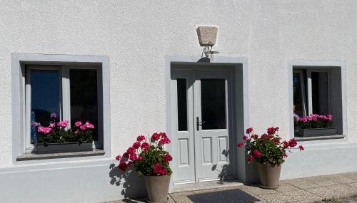 Bovec Apartamento | House Natura with garden