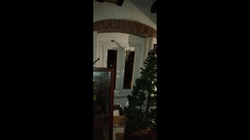 Carrara Villa | House of Artists-Aquilotto