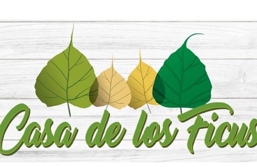 Xalapa Casa | Casa de los Ficus ( Banderilla, Veracruz ).