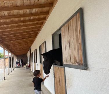 Korce Hotel | House of Horses Shtepia e Kuajve