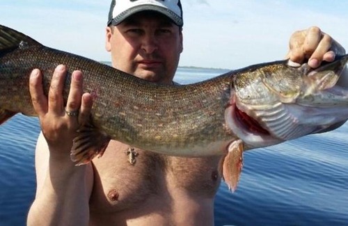 Vzvadskoe Complejo | House of Hunter and Fisherman