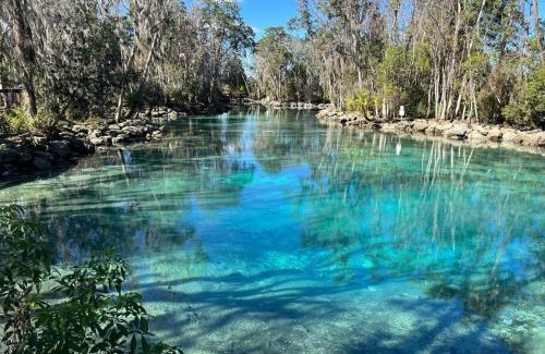 Crystal River Casa | House of Manatees-Entire house with yard, fire pit, dog friendly
