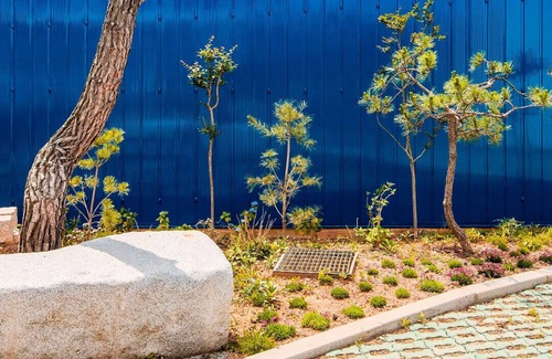 Pinari-gol Casa | House of Sculpture